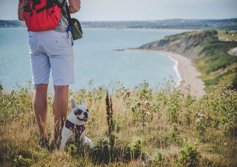 A man wearing a backpack with his dog on top of a sea cliff
