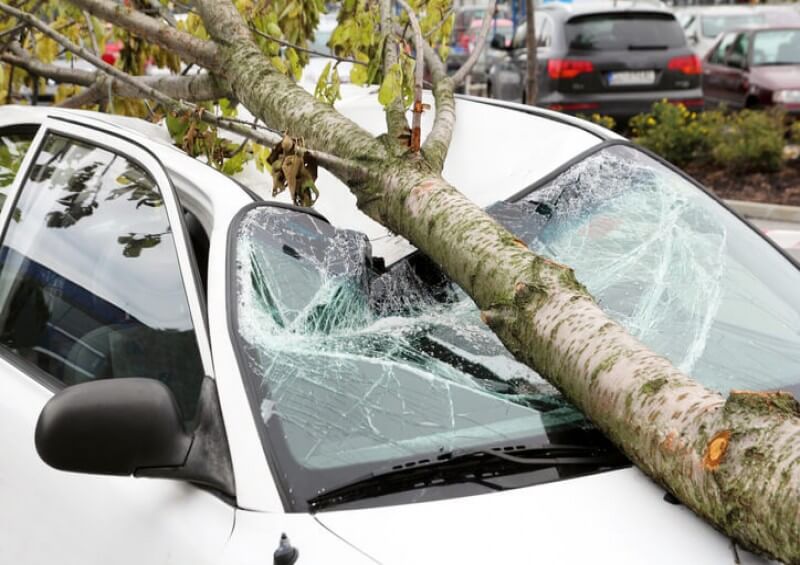 car hit by tree