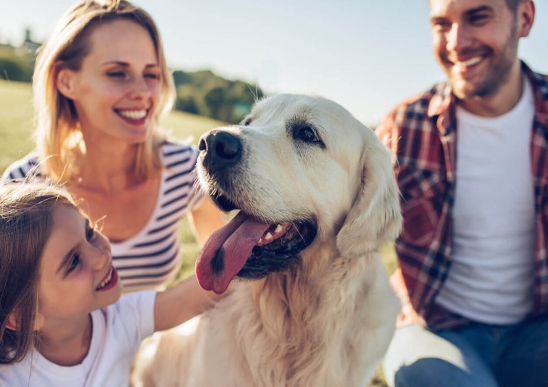 Happy family outside with their dog