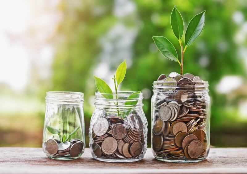 money tree