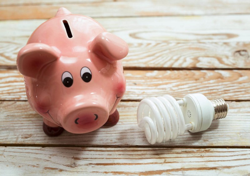 Piggy bank next to light bulb
