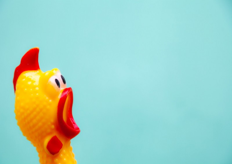 Rubber chicken as requested in funeral